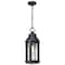 Nuvo Wilton - 1 Light Hanging Lantern - Matte Black with Clear Seeded Glass 60/8104 - alternate 6